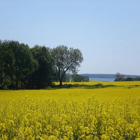 Volschow-hering, Fewo 5 