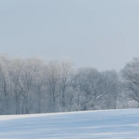 Lejlighed Volschow-hering, Fewo 5 